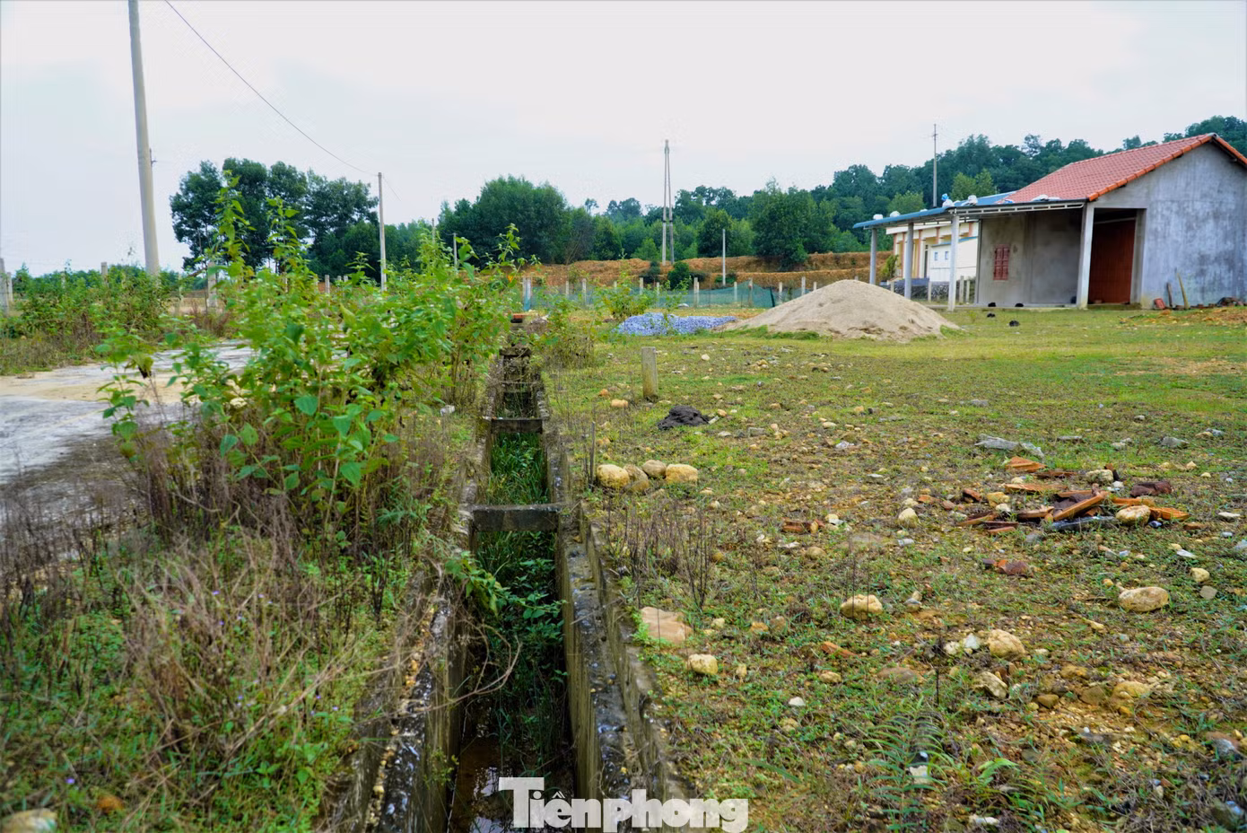 Dự án được xây dựng đồng bộ hạ tầng điện, đường, mương thoát nước. Song đến nay điện vẫn chưa được đóng, nước còn thiếu. Trong ảnh khuôn viên khu tái định cư trở nên hoang vắng, cây cỏ mọc um tùm.