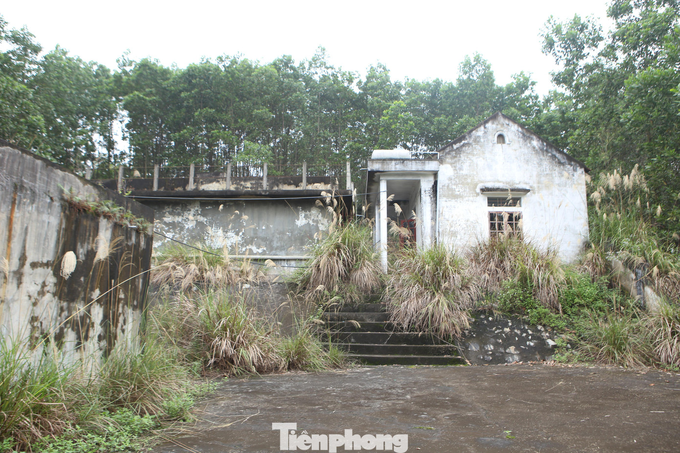 Nhà máy nước bỏ hoang 10 năm nay.