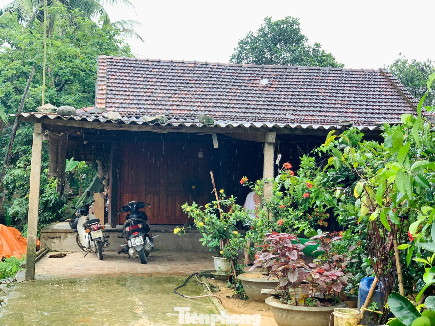 Gia cảnh em Dung thuộc diện khó khăn, đang sống chung với ông bà ngoại. Gia cảnh em Dung thuộc diện khó khăn, đang sống chung với ông bà ngoại.