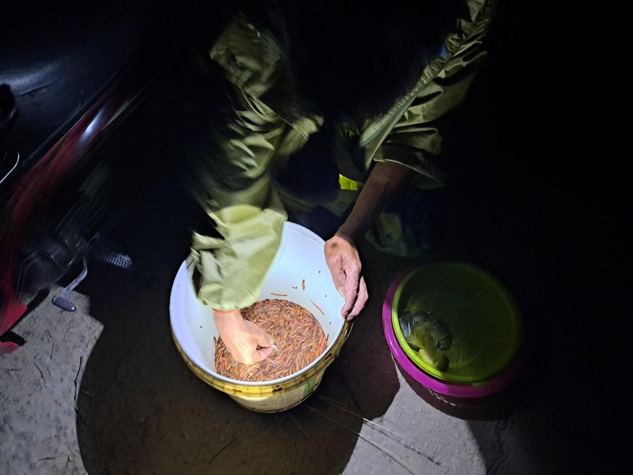 Rươi được bán với giá 400.000-700.000 đồng/kg. Nếu may mắn, trong một đêm, mỗi gia đình có thể bắt được 10-20kg rươi, thu về khoảng 5-10 triệu đồng.