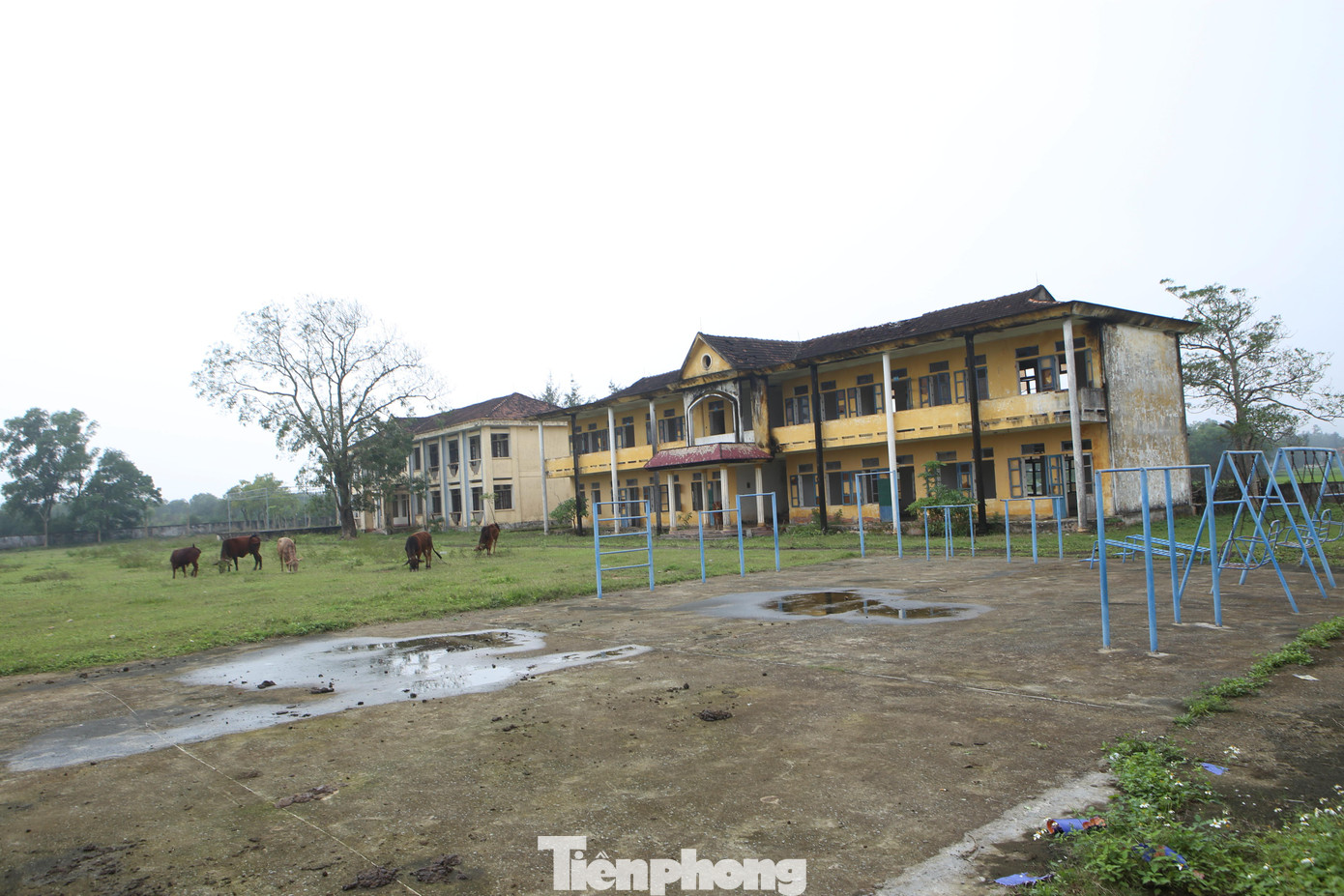 Ông Nguyễn Khắc Phong - Chủ tịch UBND xã Thịnh Lộc, cho hay, địa phương đã làm thủ tục xin chuyển đổi khuôn viên Trường THCS Thịnh Lộc làm sân vận động, khu vui chơi giải trí của xã. Riêng về dãy phòng học thì chưa có phương án xử lý và hiện nay cũng khó để tận dụng vì đã xuống cấp.