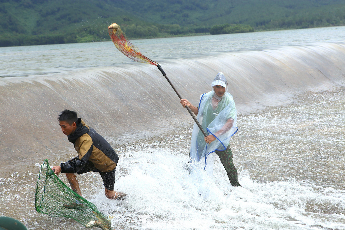 Người dân theo dõi bắt cá tại đây, đập Cu Lậy những ngày qua mưa lớn khiến nước dâng cao, khi mực nước cao sẽ chảy qua tràn xuống kênh về vùng hạ du.