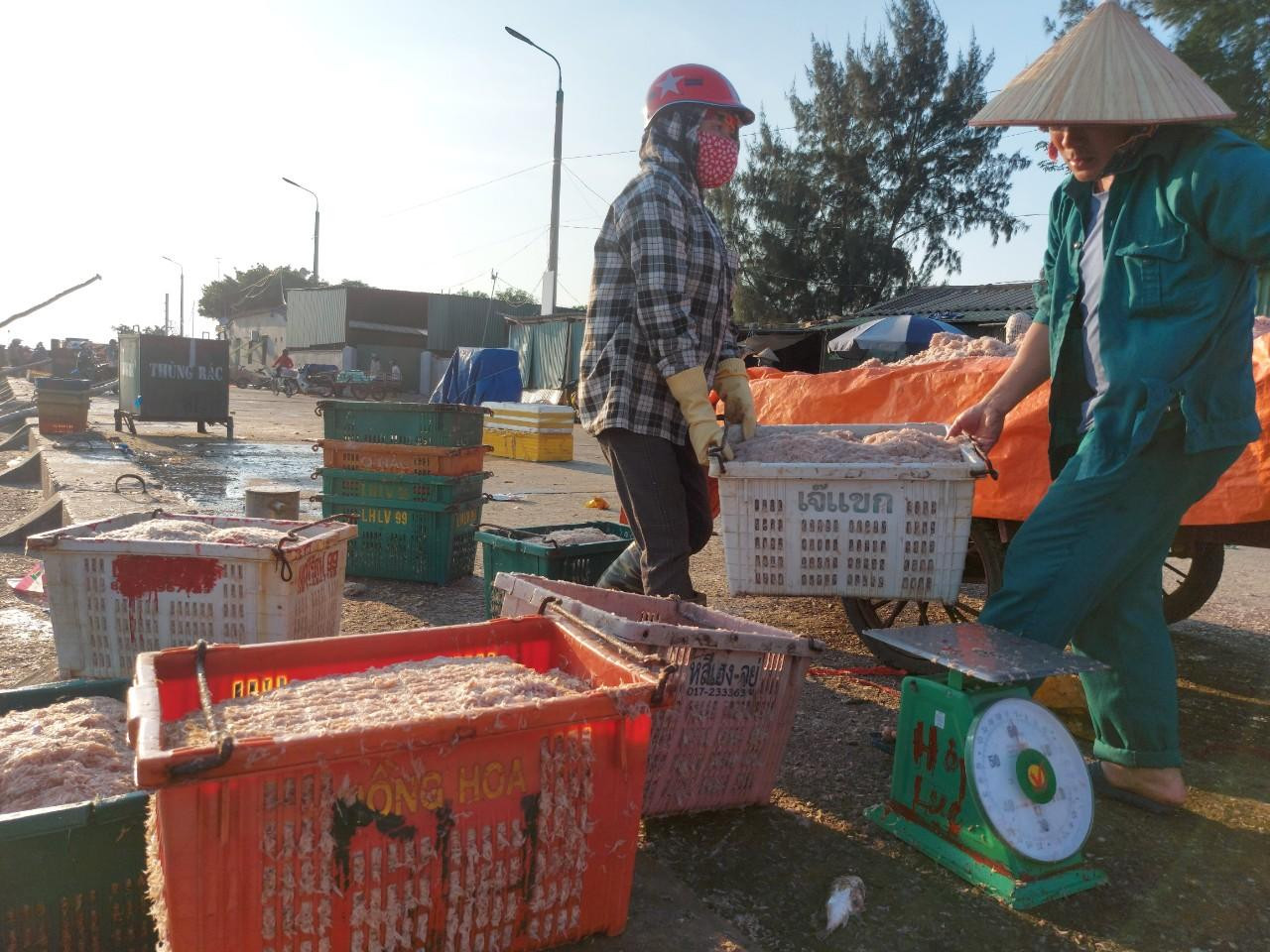 Qua thống kê từ Chi cục Thủy sản tỉnh Hà Tĩnh, từ giữa tháng 10/2022 đến giữa tháng 11/2022 của vụ cá Bắc năm nay, bà con ngư dân Hà Tĩnh đã đánh bắt được sản lượng các loại hải sản ước đạt từ khoảng 4.500 đến 5.000 tấn. Qua thống kê từ Chi cục Thủy sản tỉnh Hà Tĩnh, từ giữa tháng 10/2022 đến giữa tháng 11/2022 của vụ cá Bắc năm nay, bà con ngư dân Hà Tĩnh đã đánh bắt được sản lượng các loại hải sản ước đạt từ khoảng 4.500 đến 5.000 tấn.