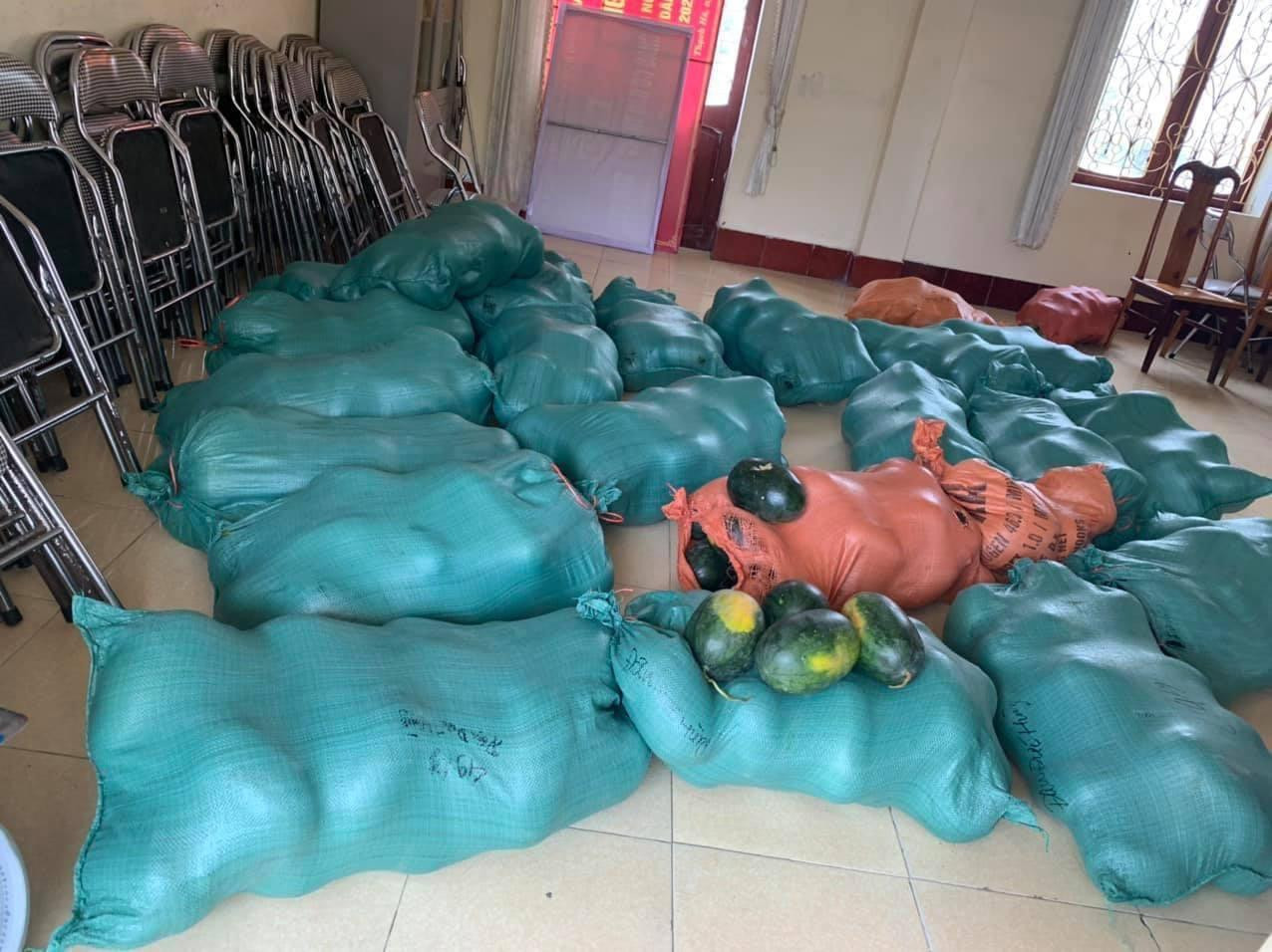 Dưa được thu gom đi tiêu thụ giúp dân.