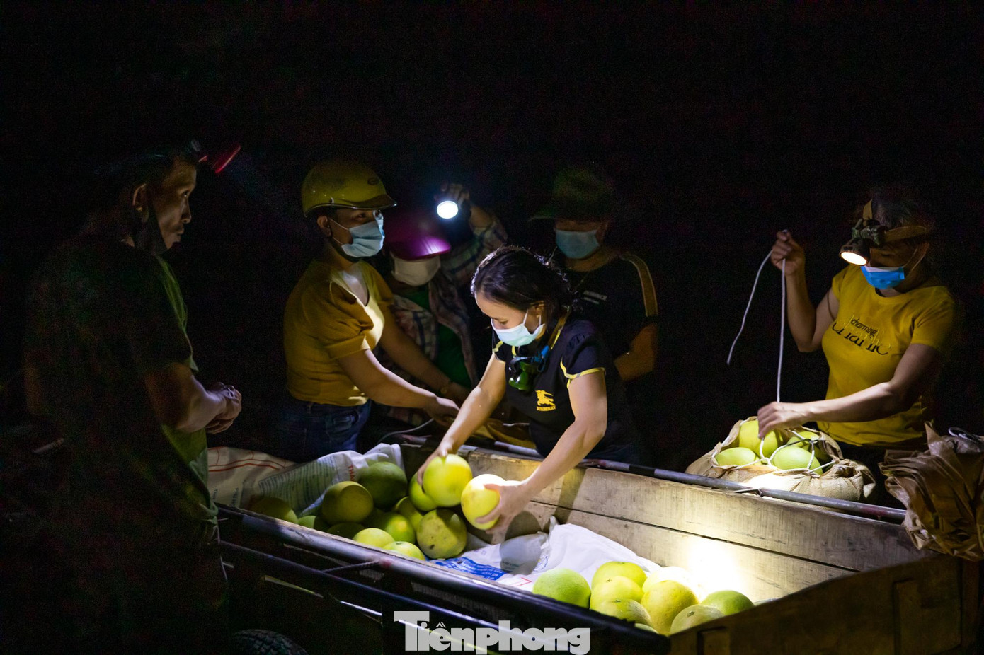 Nói là chợ, nhưng thực chất là địa điểm tự phát của người dân để thu, mua bưởi vận chuyển đi các tỉnh khác tiêu thụ.