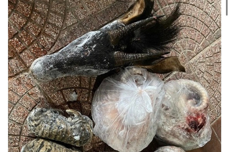 Tang vật công an thu giữ. Tang vật công an thu giữ.