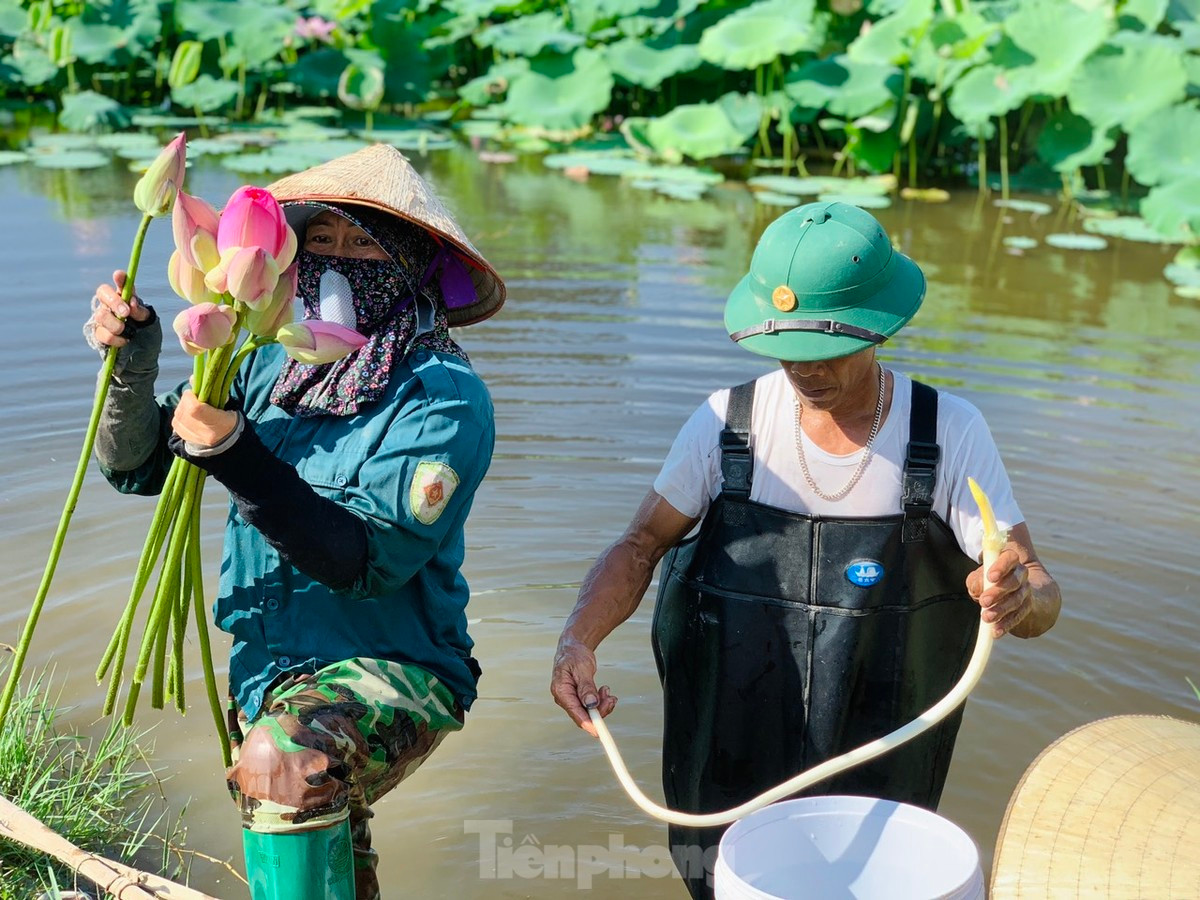 Những vùng đất trũng, là đầm lầy bỏ hoang, nay tạo nên giá trị kinh tế lớn. Những vùng đất trũng, là đầm lầy bỏ hoang, nay tạo nên giá trị kinh tế lớn.