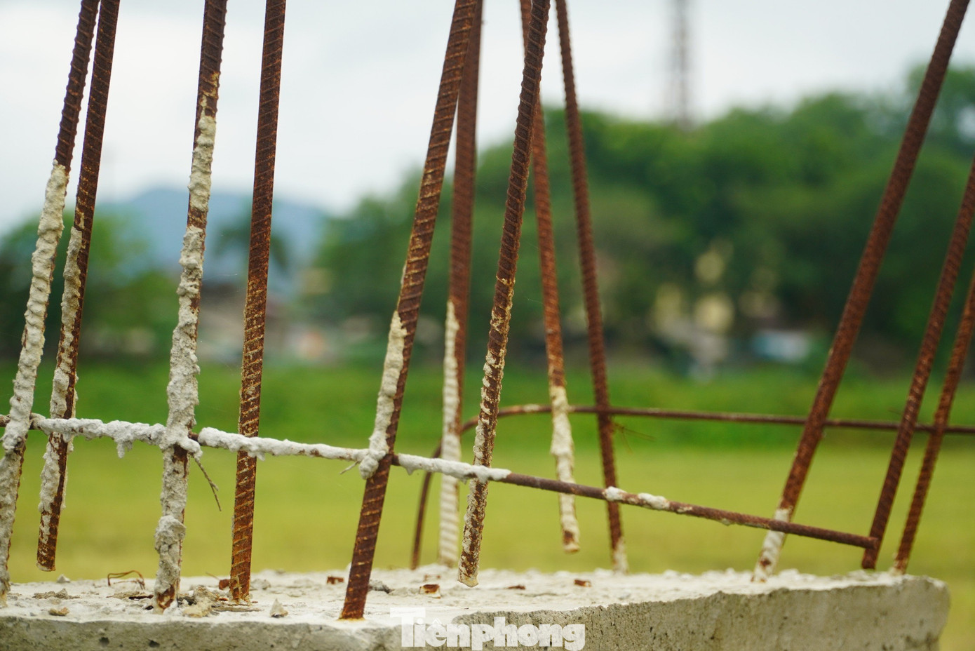 Công trình chậm tiến độ, hàng chục ha đất nông nghiệp buộc phải bỏ hoang vì thiếu nước.
