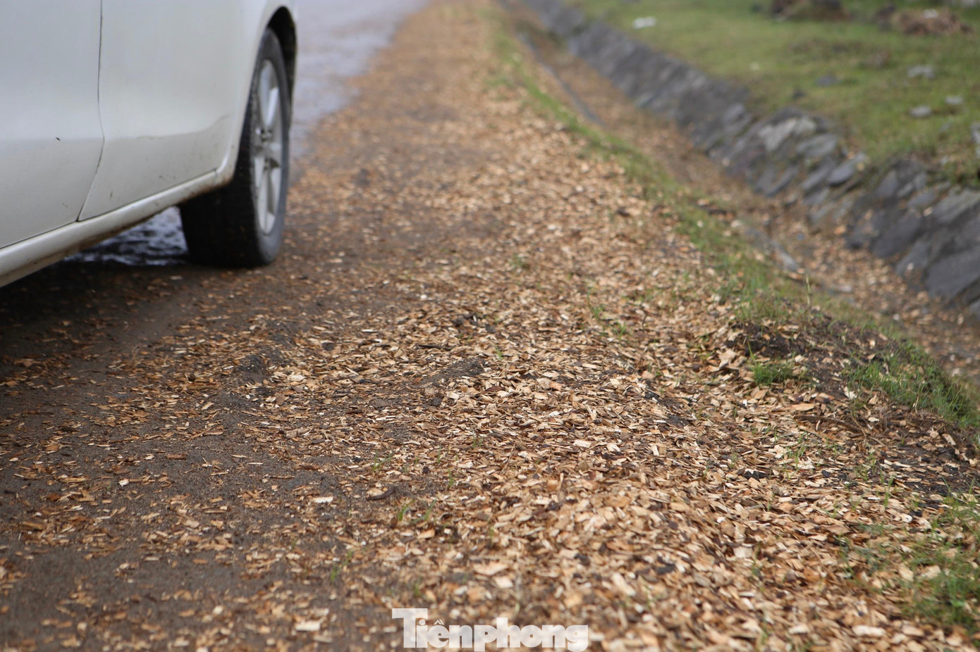 Thông thường, mỗi khi có tàu cập cảng Vũng Áng thì mỗi ngày có hàng trăm lượt xe tải chở gỗ dăm xuống cảng mỗi khi di chuyển, gỗ dăm rơi xuống vương vãi khắp đường.