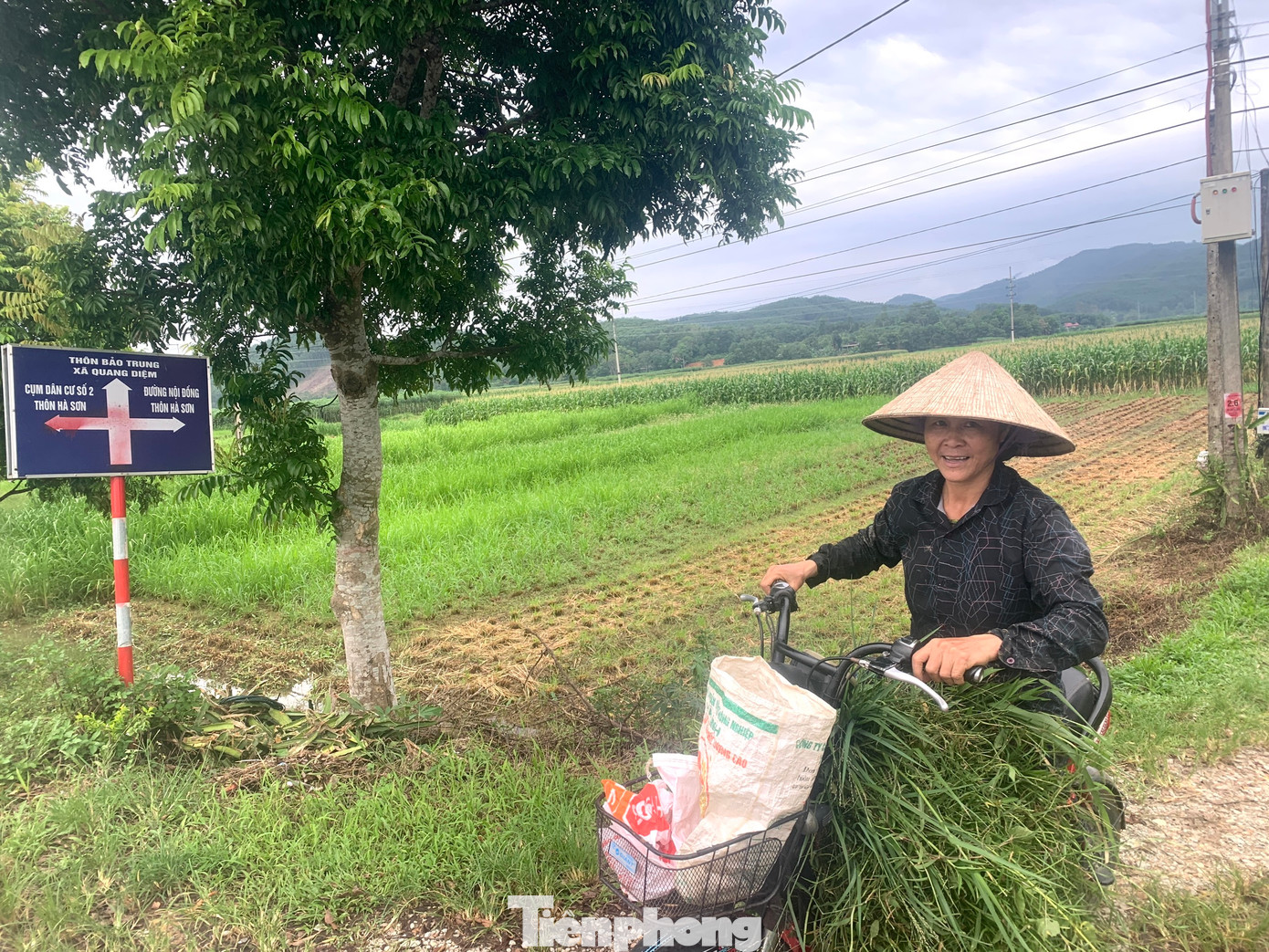 Khu vực quy hoạch dự án không triển khai, người dân địa phương đang canh tác hoa màu, cỏ để chăn nuôi gia súc.