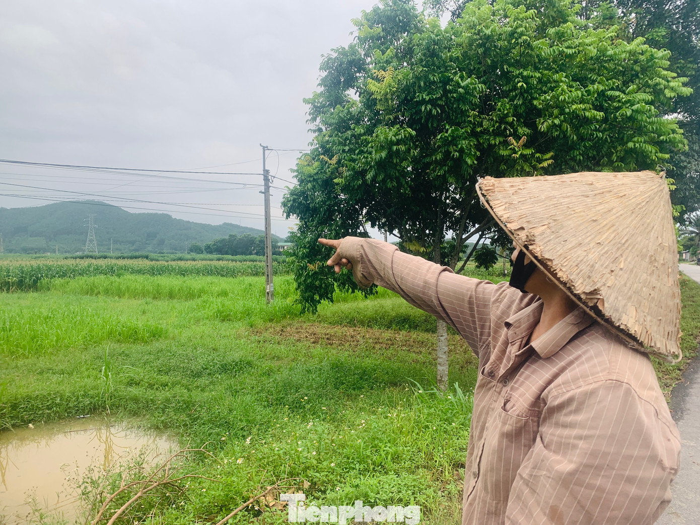 Nhiều hộ dân tại thôn Hà Sơn (xã Quang Diệm) đang chờ đợi tiền hỗ trợ đền bù dự án năng lượng điện mặt trời.