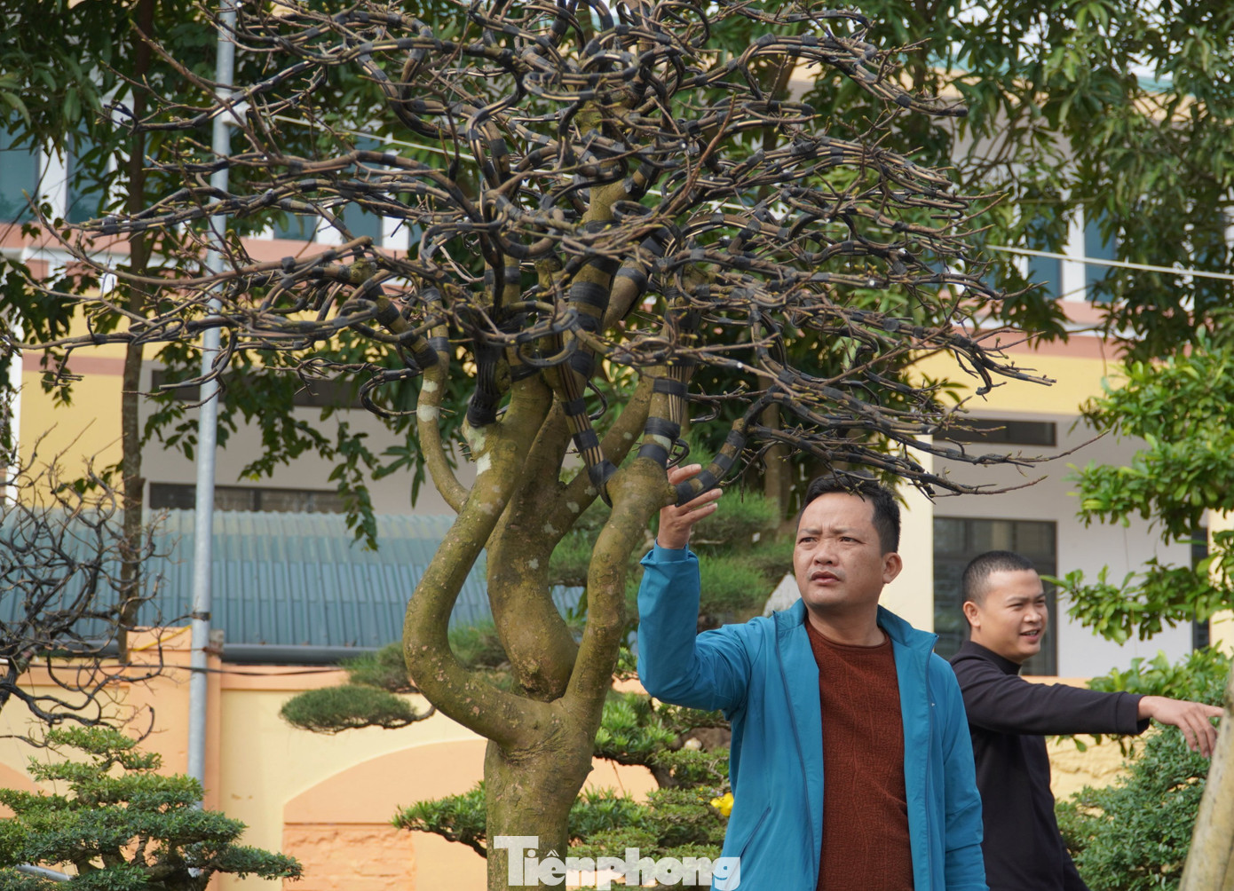 Một số khách hàng đã đến xem để mua hoa trưng dịp Tết.