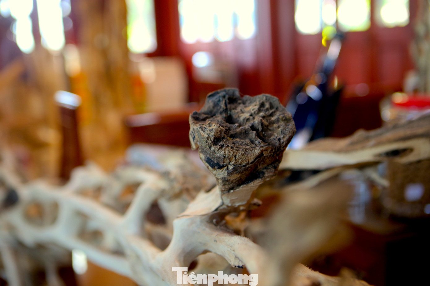 Trầm phát từ gốc đến ngọn, thợ chế tác tạo thành những đường nét độc đáo, lạ mắt.