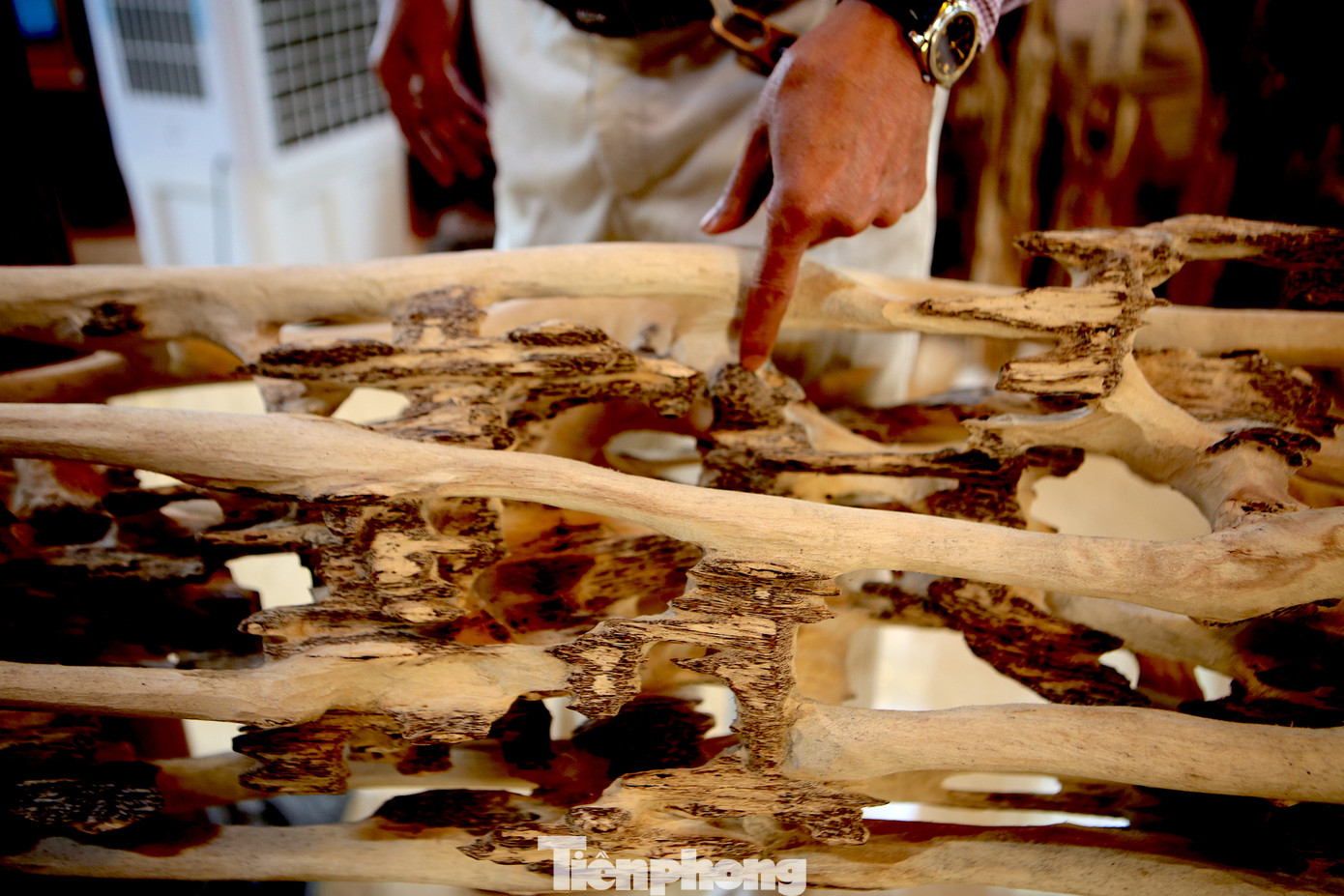 Trầm phát từ gốc đến ngọn, thợ chế tác tạo thành những đường nét độc đáo, lạ mắt.