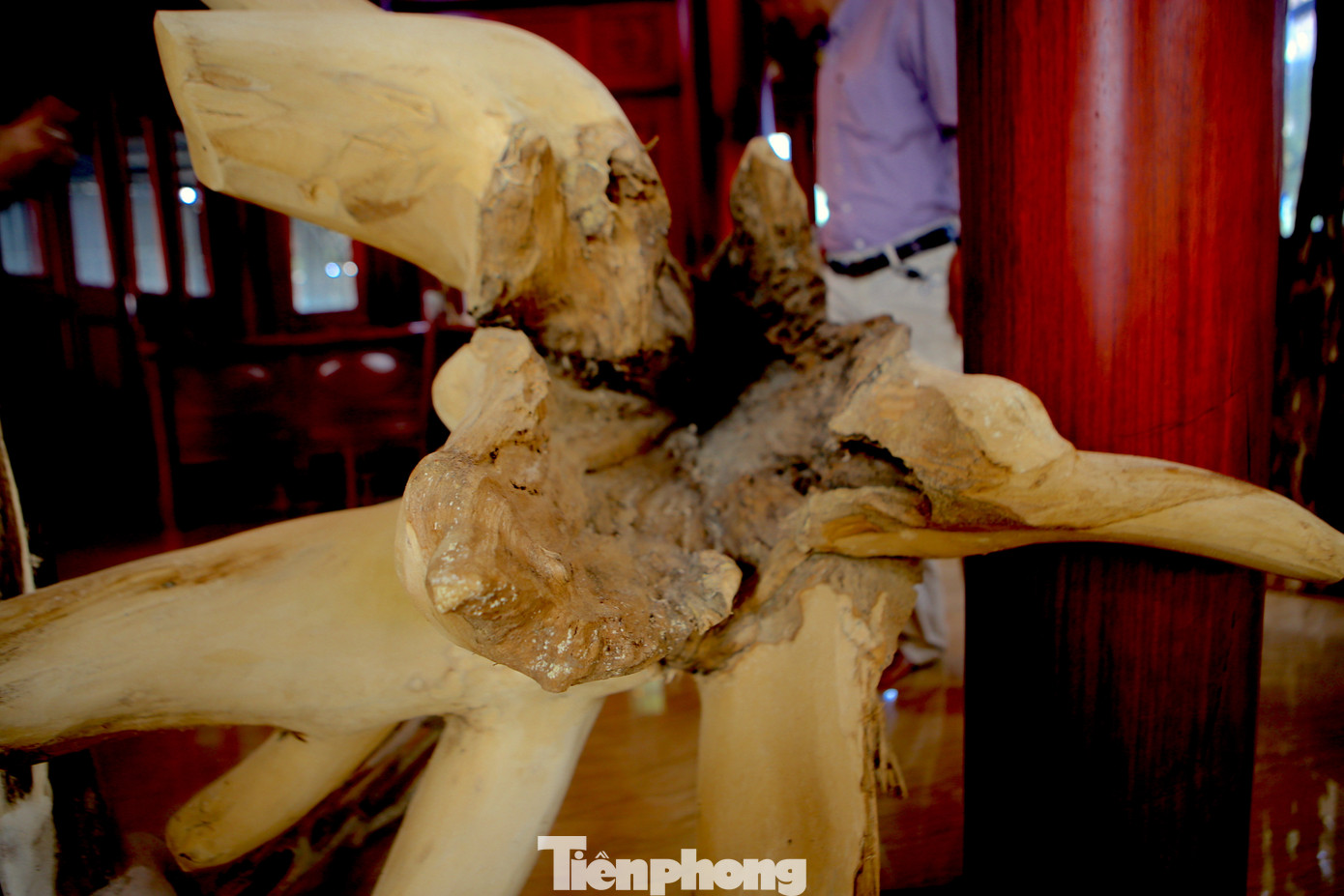 Trầm được chế tác tạo điểm nhấn từ gốc đến ngọn. Vì giá trị trầm lớn nên gốc này định giá lên đến cả tỷ đồng.