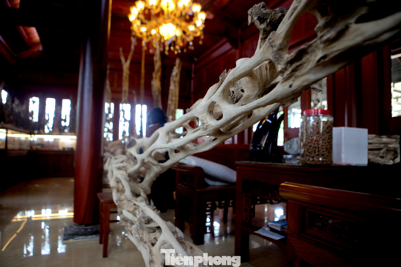 Gốc trầm cao khoảng 8m, được trưng bày giữa gian chính của căn nhà. Theo gia chủ, gốc trầm này rất giá trị, bởi trầm phát từ gốc đến ngọn.