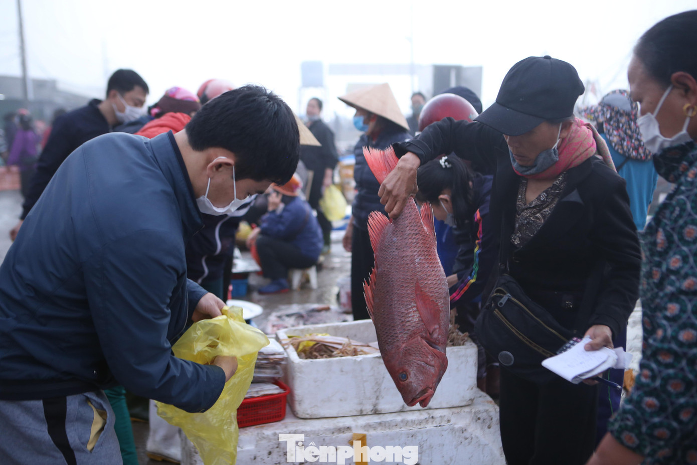 Nhiều người dân TP Hà Tĩnh, Thạch Hà cũng xuống tại cảng để mua cá về ăn trong dịp Tết.