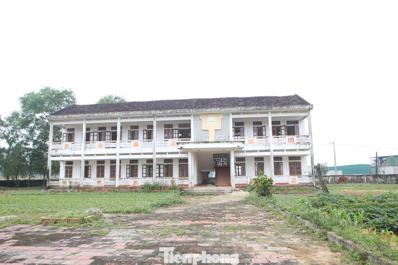 Ngôi trường xuống cấp, sân trường cỏ dại mọc um tùm, thành nơi chăn thả bò của người dân địa phương.
