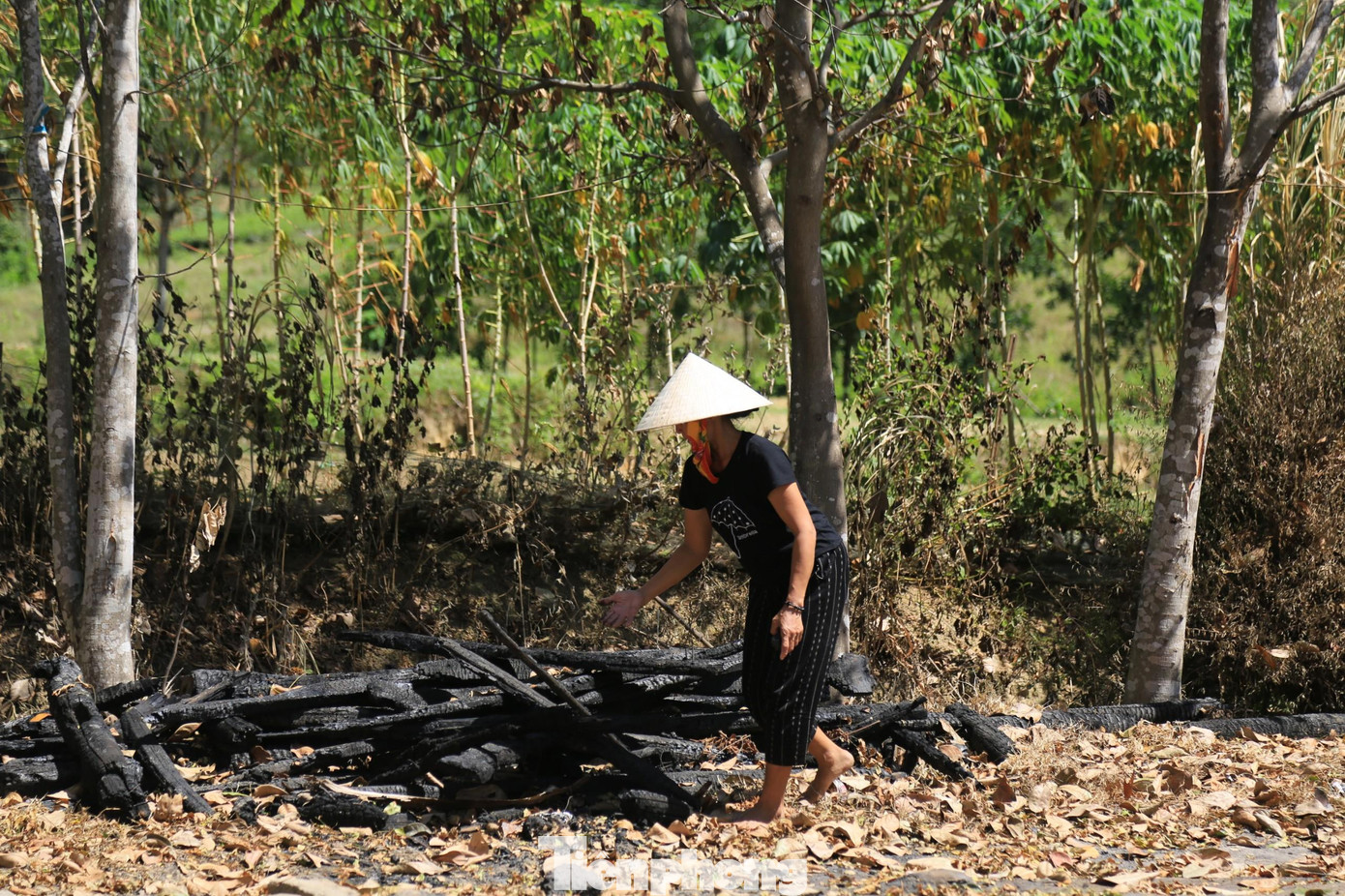 Người dân thu dọn nhà rơm bị cháy trong đêm.