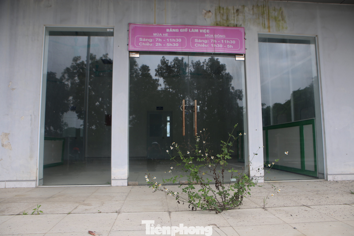 Tuy nhiên, sau lễ khởi công, dự án chỉ thực hiện xây mới 2 dãy nhà tạm. Trong đó, một dãy bỏ không, một dãy khác cho đơn vị khác thuê lại. Riêng khuôn viên diện tích lớn bên trong chưa được xây dựng, bỏ hoang.