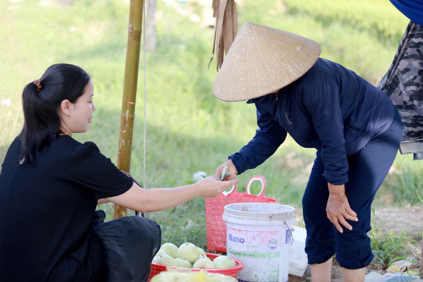 Sau khi thu hoạch dưa, người dân đưa đến các khu chợ hoặc vỉa hè cạnh đường để bán. Giá bán dưa năm nay cao hơn so với những năm trước. Như giá dưa bở từ 15.000 - 20.000 đồng/kg, dưa lê 20.000 - 25.000 đồng/kg, dưa hấu dao động từ 10.000 - 15.000 đồng/kg
