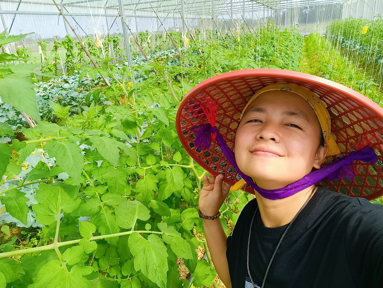 Cô gái trẻ thích thú khi vườn rau phát triển xanh tốt. Cô gái trẻ thích thú khi vườn rau phát triển xanh tốt.