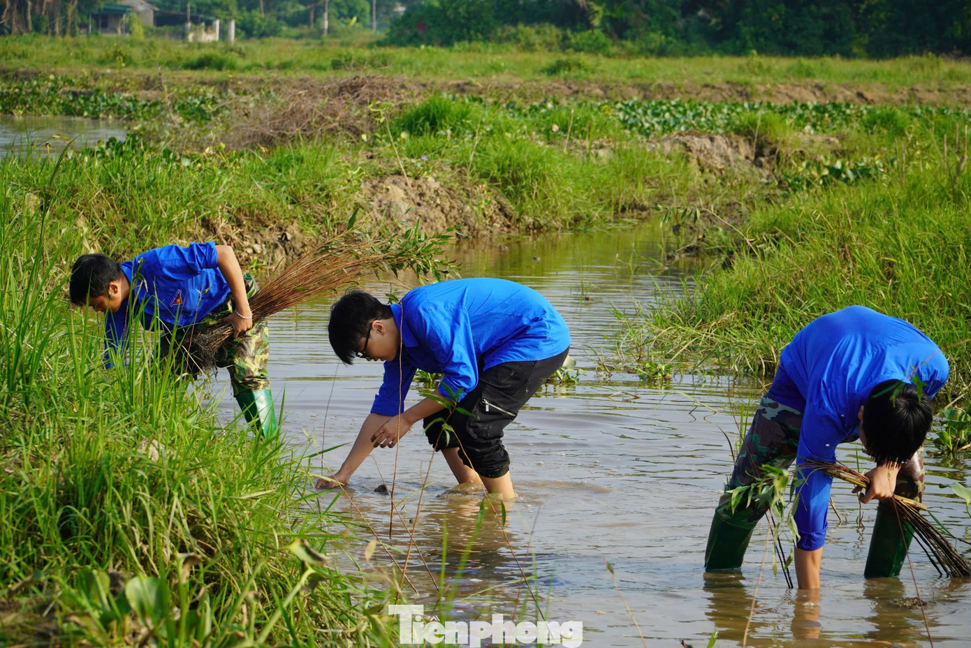 Đây là hoạt động góp phần tạo cảnh quan, bảo vệ môi trường sinh thái, phát huy tinh thần xung kích của tuổi trẻ, xây dựng thành phố Hà Tĩnh ngày càng xanh - sạch - đẹp.