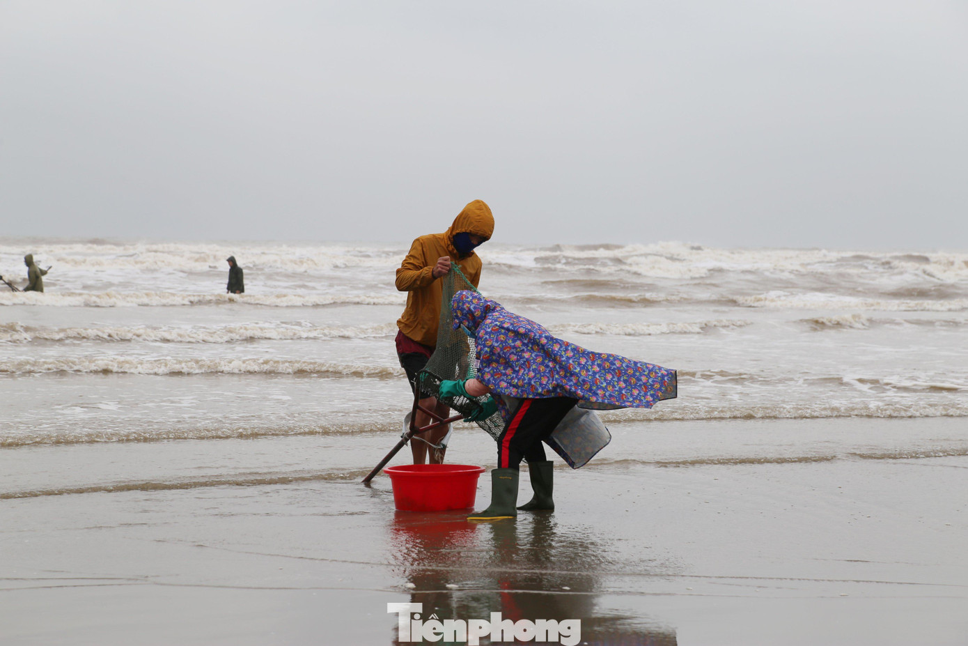 Mỗi người sử dụng một lưới vợt tự chế để bắt sò. Sau khi ngâm mình dưới nước tầm 30 phút cào dưới đáy, lưới đựng sẽ được đưa lên bờ đổ ra và phân loại. Mỗi người sử dụng một lưới vợt tự chế để bắt sò. Sau khi ngâm mình dưới nước tầm 30 phút cào dưới đáy, lưới đựng sẽ được đưa lên bờ đổ ra và phân loại.