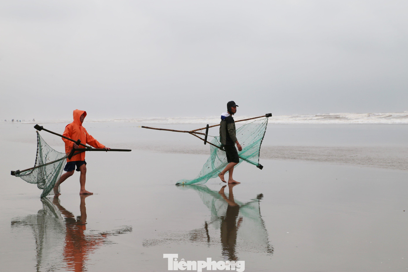 Mỗi ngày một người có thể vớt được khoảng hơn 100 kg sò. Sò sau khi được thu hoạch sẽ bán cho thương lái giá từ 15.000 - 20.000 đồng/kg. Mỗi ngày một người có thể vớt được khoảng hơn 100 kg sò. Sò sau khi được thu hoạch sẽ bán cho thương lái giá từ 15.000 - 20.000 đồng/kg.