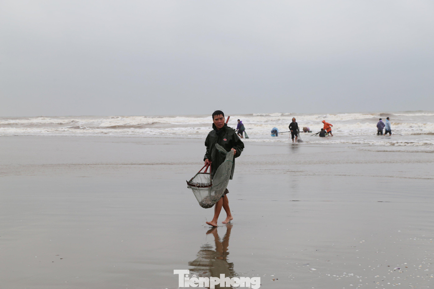 Người dân huyện Nghi Xuân đổ xô ra bãi biển xã Cương Gián để vớt sò huyết. Đây là loại sò có chất dinh dưỡng và giá trị kinh tế. Người dân huyện Nghi Xuân đổ xô ra bãi biển xã Cương Gián để vớt sò huyết. Đây là loại sò có chất dinh dưỡng và giá trị kinh tế.