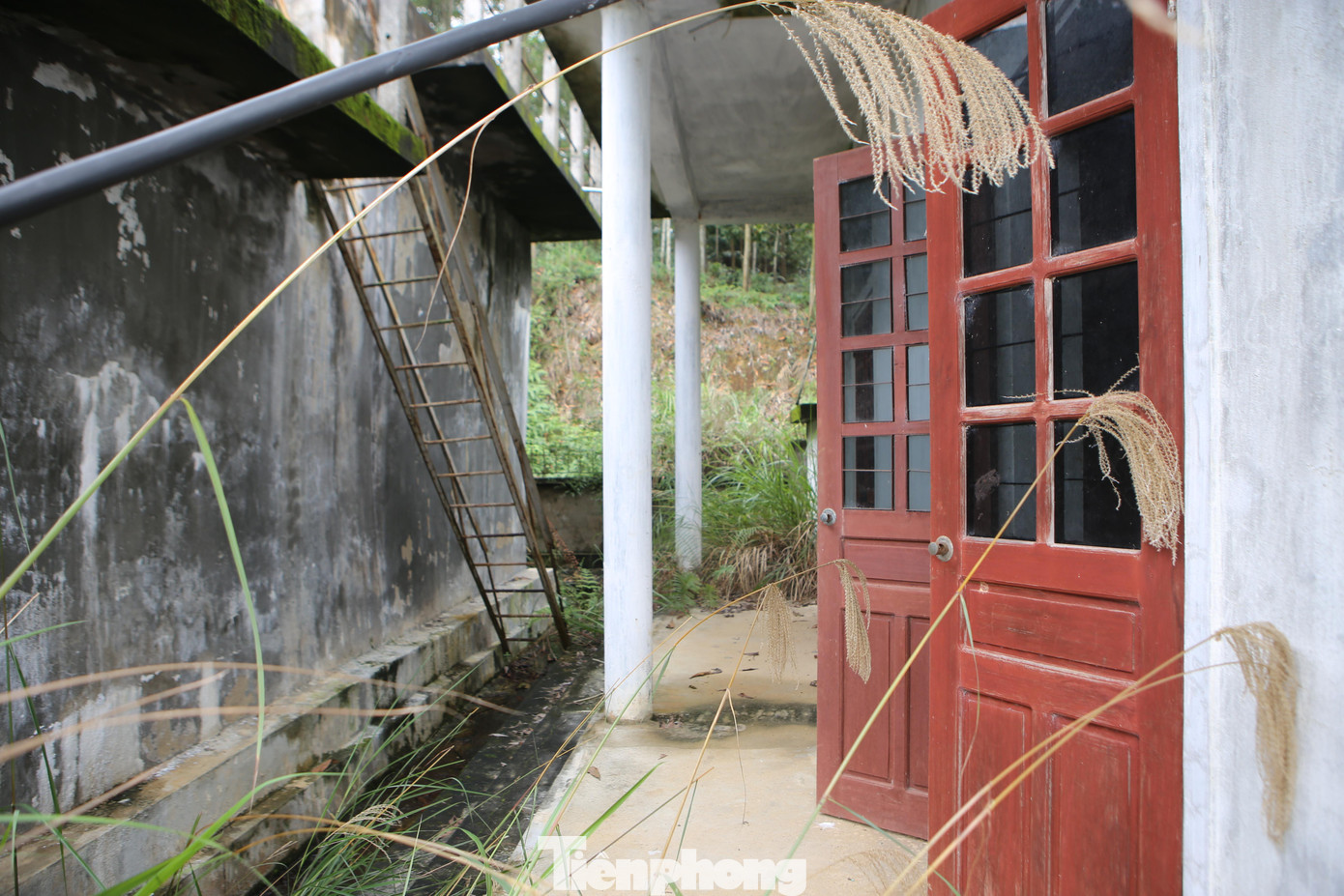 Khu vực nhà điều hành hoang tàn, cỏ mọc um tùm.