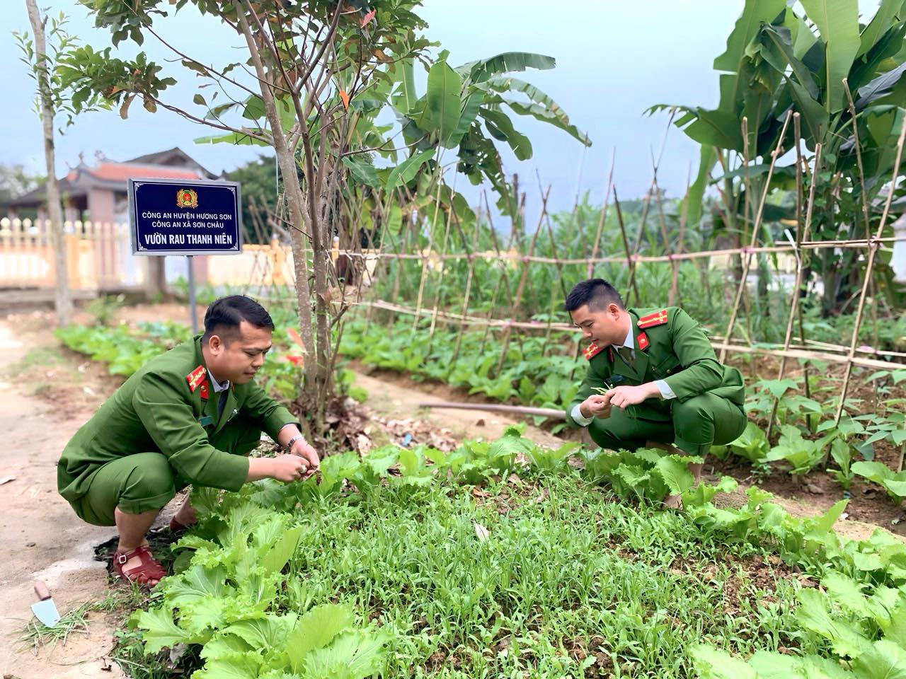 Vườn rau chính là nơi để tập hợp đoàn viên thanh niên, tạo ra phong trào thi đua sôi nổi giữa các đoàn viên thanh niên trong Chi đoàn.