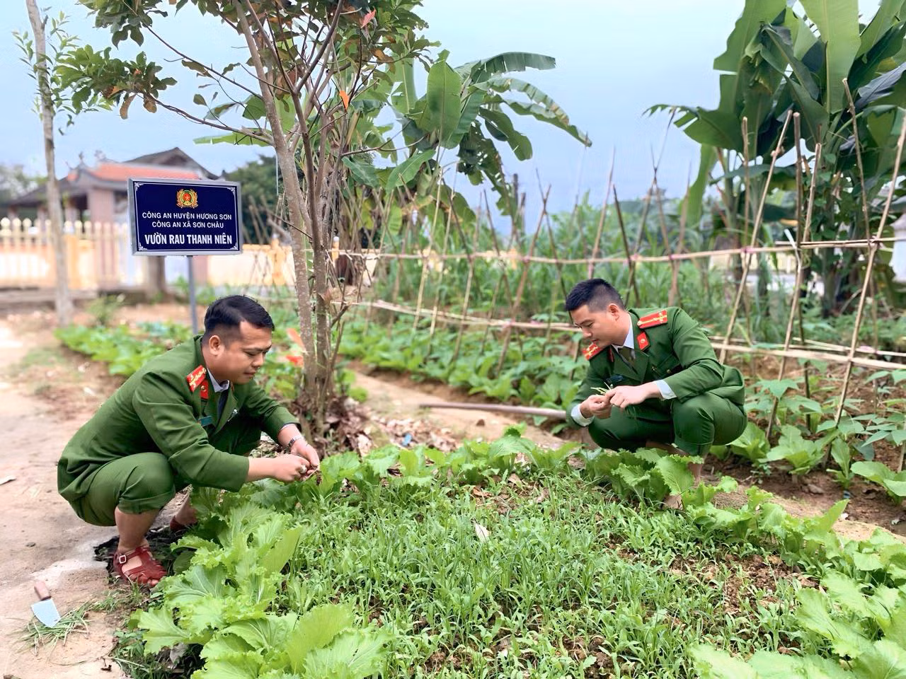 Vườn rau chính là nơi để tập hợp đoàn viên thanh niên, tạo ra phong trào thi đua sôi nổi giữa các đoàn viên thanh niên trong Chi đoàn.