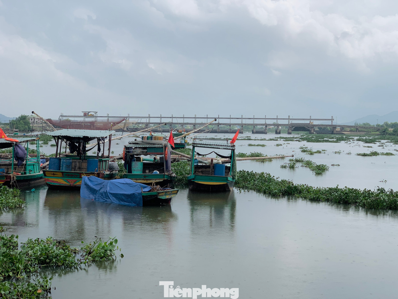 Trước diễn biến mới của áp thấp nhiệt đới có thể mạnh lên thành bão, người nuôi trồng thủy sản đã chủ động các phương án ứng phó.