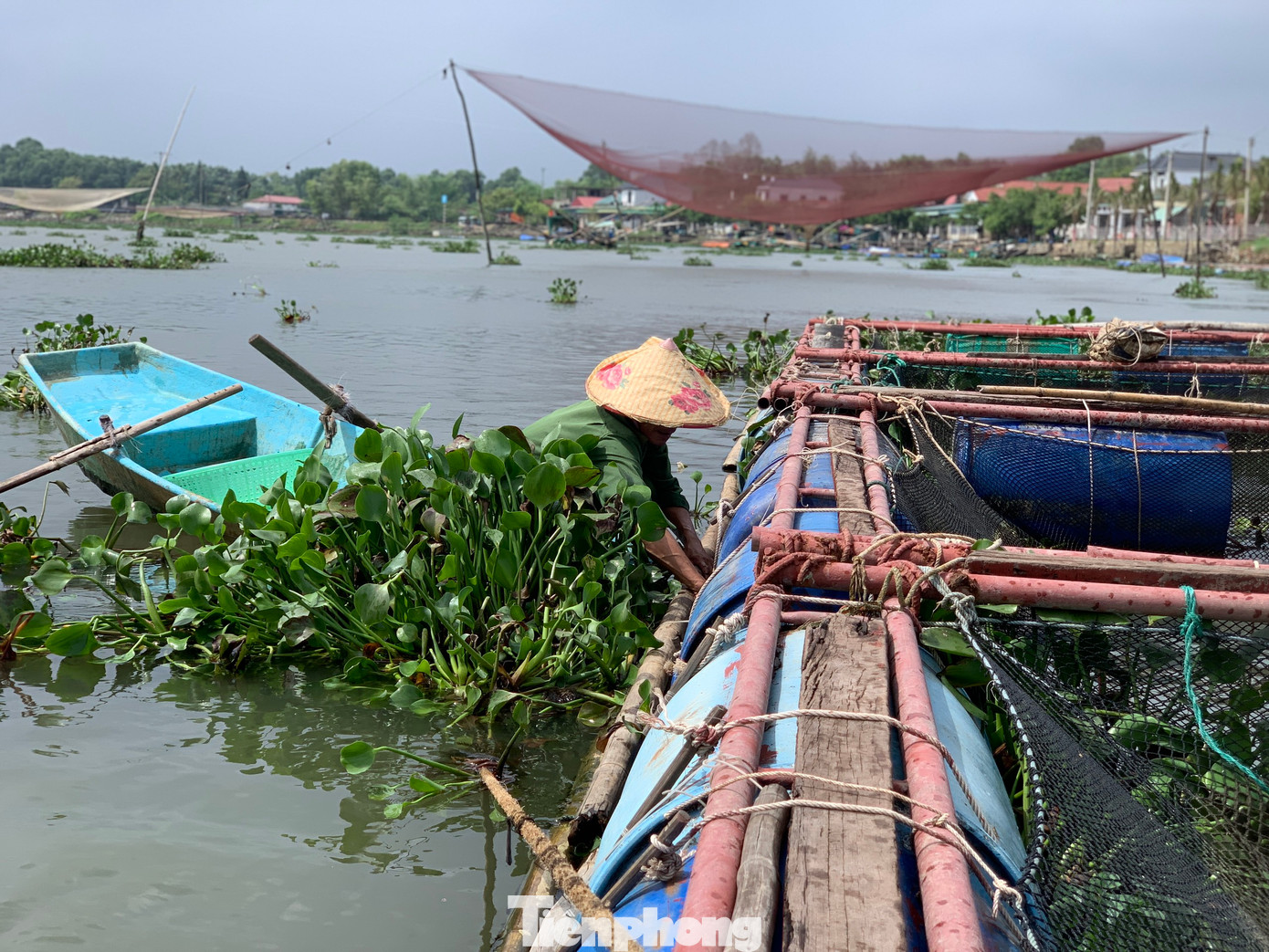 Sáng 18/9, các hộ dân nuôi cá trong lồng bè ở khu vực phía dưới bara Đò Điệm thuộc sông Nghèn (xã Thạch Sơn, huyện Thạch Hà, Hà Tĩnh) đã tập trung gia cố lại lồng bè để tránh ảnh hưởng của mưa lũ.