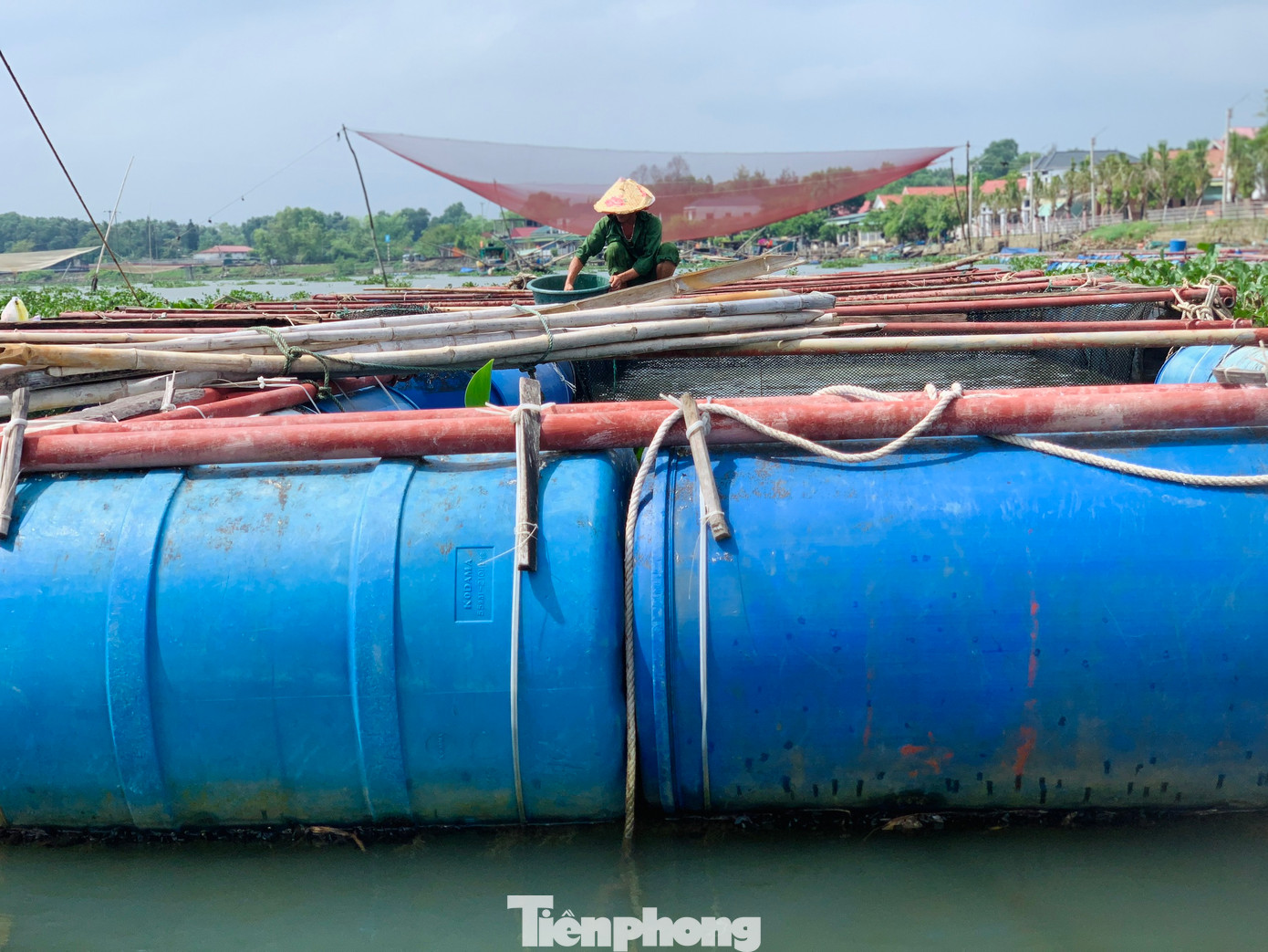 Năm 2023, nhiều hộ nuôi các lồng bè tại khu vực này mất trắng do ảnh hưởng mưa lũ. Năm nay người dân đã chuẩn bị các công tác để ứng phó nhằm giảm thiểu thiệt hại về kinh tế xảy ra.