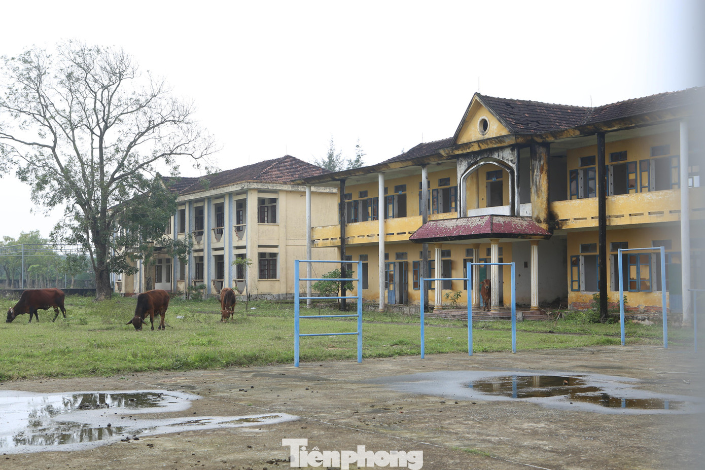 Cũng tại xã Thịnh Lộc (huyện Lộc Hà), sau khi sáp nhập với Trường THCS Bình An Thịnh, từ năm 2013 đến nay, Trường THCS Thịnh Lộc bỏ hoang, chính quyền địa phương chưa có phương án để xử lý. Hiện tại điểm trường trở thành nơi chăn thả gia súc của người dân.