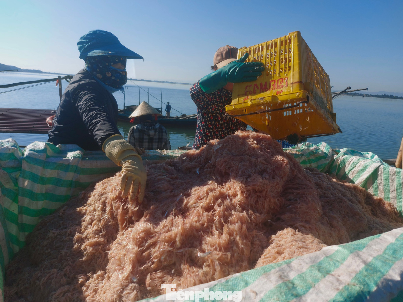 Trong 3 ngày qua tại cảng Cửa Sót có trên 60 lượt tàu trúng đậm ruốc biển với sản lượng 50 tấn. Đây là tín hiệu vui mừng thời gian qua biển động, tàu thuyền chỉ nằm bờ. Trong 3 ngày qua tại cảng Cửa Sót có trên 60 lượt tàu trúng đậm ruốc biển với sản lượng 50 tấn. Đây là tín hiệu vui mừng thời gian qua biển động, tàu thuyền chỉ nằm bờ.