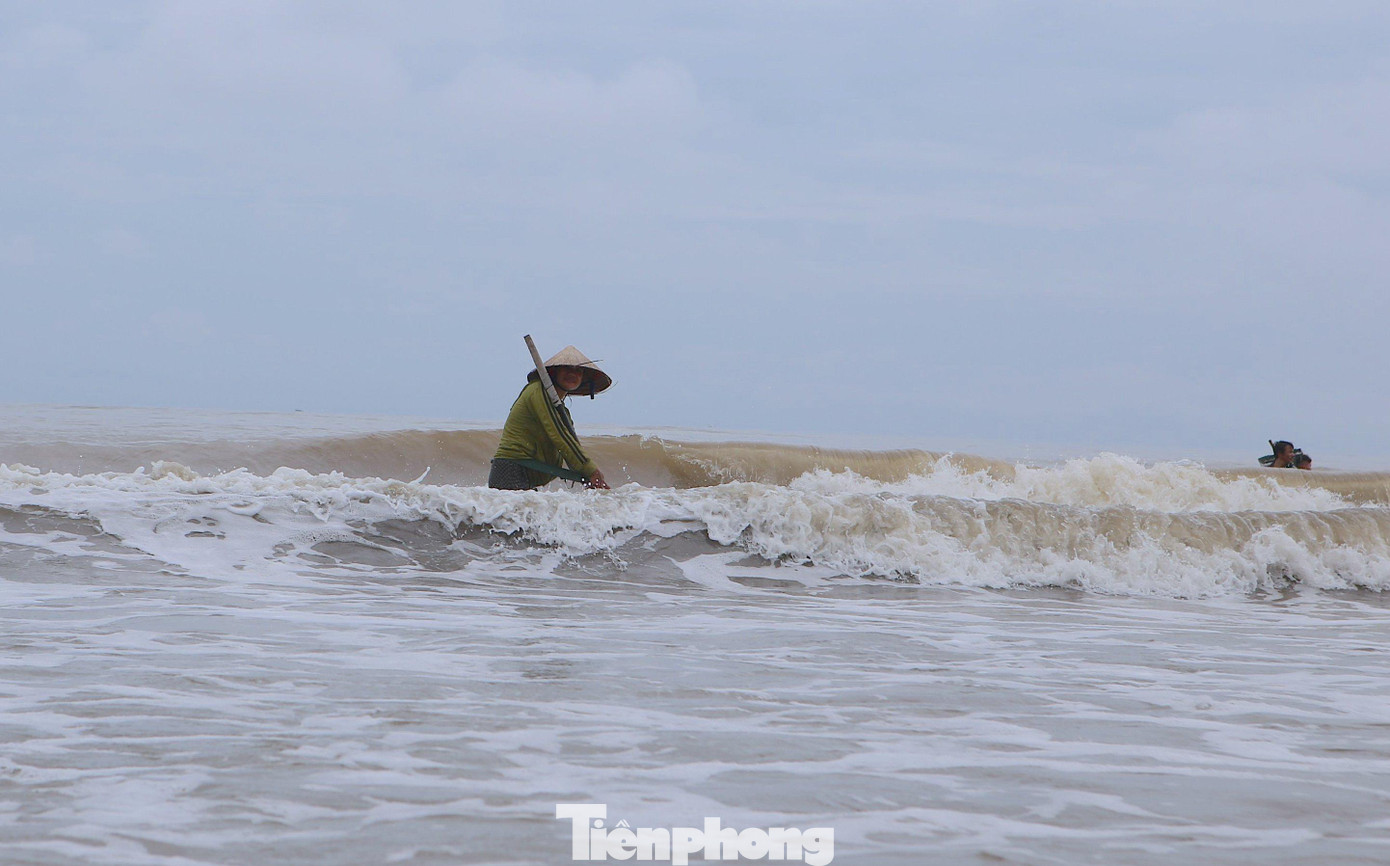 Ông Nguyễn Khắc Phong, Chủ tịch UBND xã Thịnh Lộc cho biết, có rất nhiều người dân đổ về biển Thịnh Lộc để khai thác sò. Những dịp sau mưa bão luôn dạt vào nhiều loại hải sản cho người dân. Ước tính, đợt này, số lượng sò bị sóng đánh vào bờ khoảng 5 tấn, mang lại nguồn thu nhập khá cho người dân.