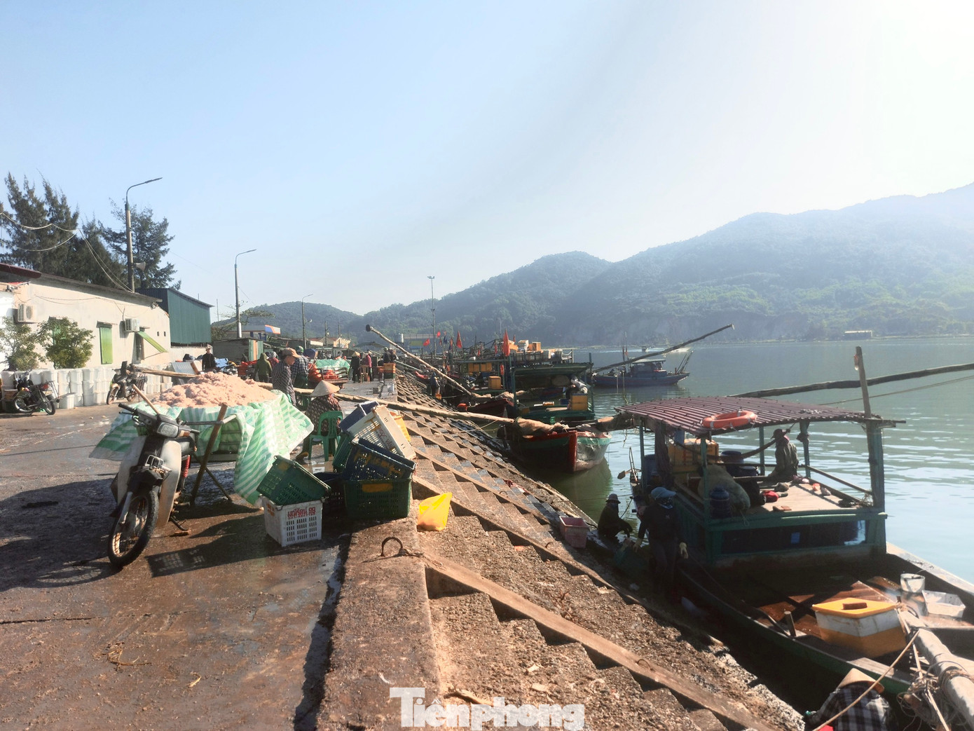 Tại cảng Cửa Sót (xã Thạch Kim, huyện Lộc Hà) hàng chục tàu thuyền chở đầy ắp ruốc biển nối đuôi nhau vào cảng để bán cho thương lái. Tại cảng Cửa Sót (xã Thạch Kim, huyện Lộc Hà) hàng chục tàu thuyền chở đầy ắp ruốc biển nối đuôi nhau vào cảng để bán cho thương lái.