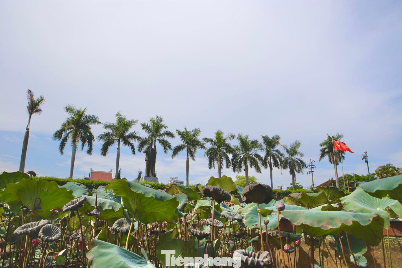 Hồ sen nay vẫn được giữ nguyên, tôn tạo thành một cảnh quan đẹp và trang nghiêm, mùa sen nở hương thơm ngào ngạt toả khắp vùng.