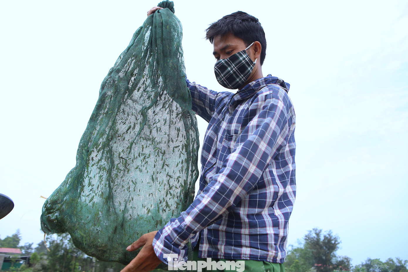 Anh Thương một mình chạy trên chiếc xe máy từ thị xã Hoàng Mai để vào xã Xuân Trường (huyện Nghi Xuân) đánh bắt cào cào. Công việc của anh làm từ sáng đến khoảng 11-12h trưa sẽ quay về nhà.