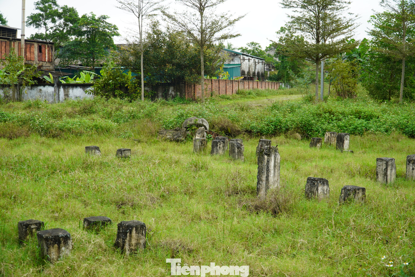 Tuy nhiên, quá trình triển khai dự án chậm tiến độ, chủ đầu tư liên tục xin gia hạn. Thời hạn mới nhất được tỉnh Hà Tĩnh đồng ý là gia hạn đến tháng 11/2022, phải hoàn thiện và đưa toàn bộ dự án vào hoạt động. Nhưng đến nay bên trong khuôn viên dự án chưa được xây dựng. Trong ảnh: Loạt cọc nhồi bên trong khuôn viên dự án.