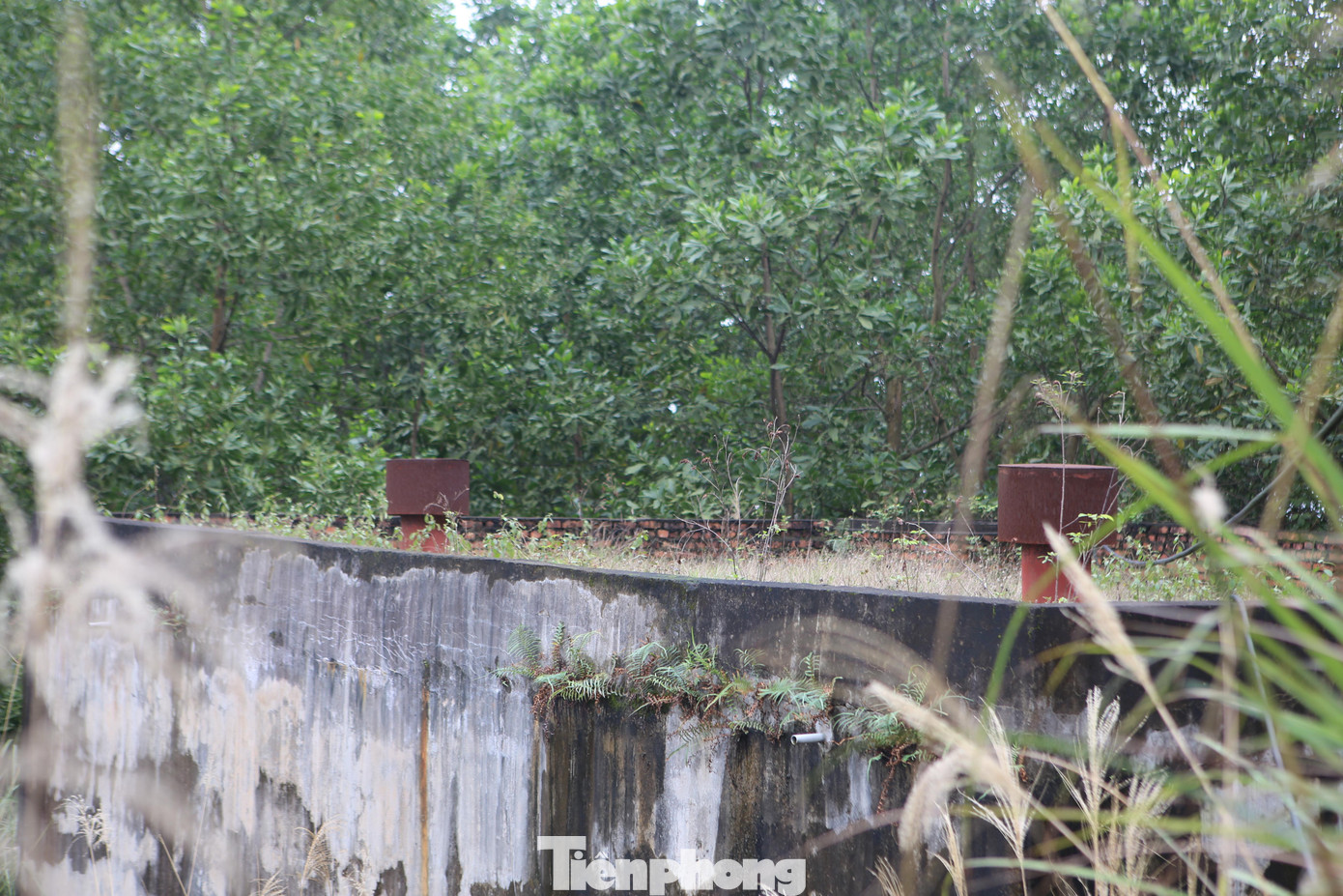 Toàn bộ hệ thống ống nước sạch và các thiết bị đi kèm được đấu nối đến tận nhà của người dân xã Đức Lạng cũng không có cơ hội sử dụng. Lãng phí chồng lên lãng phí.