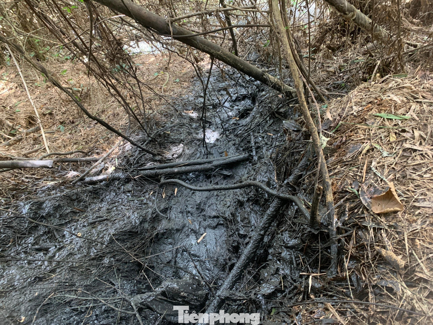 Dòng chất thải chảy xuống khe Ma Ca khiến người dân bức xúc.