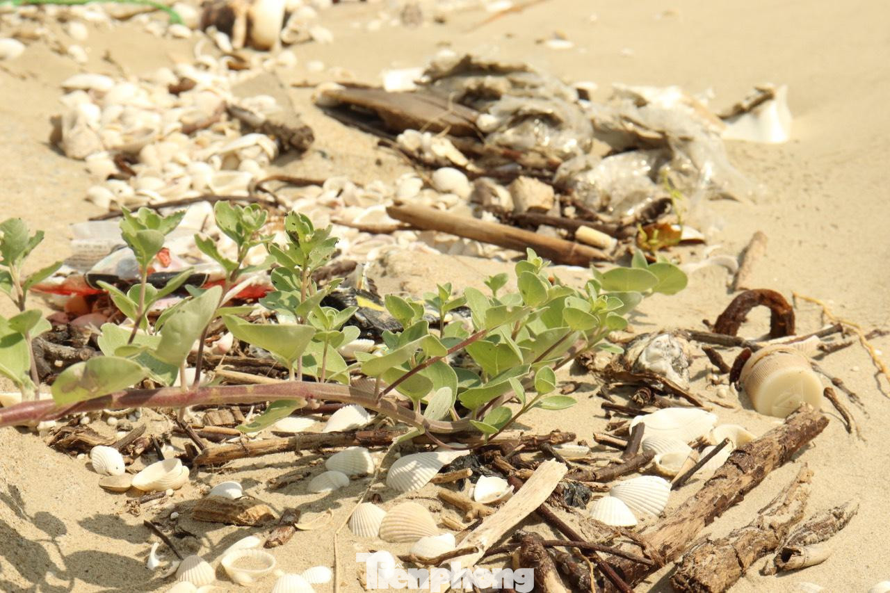 Theo chia sẻ của người dân ở đây, mỗi tuần địa phương đều tổ chức thu gom rác thải quanh bờ biển, tuy nhiên lượng rác thải tồn đọng vẫn còn nhiều.