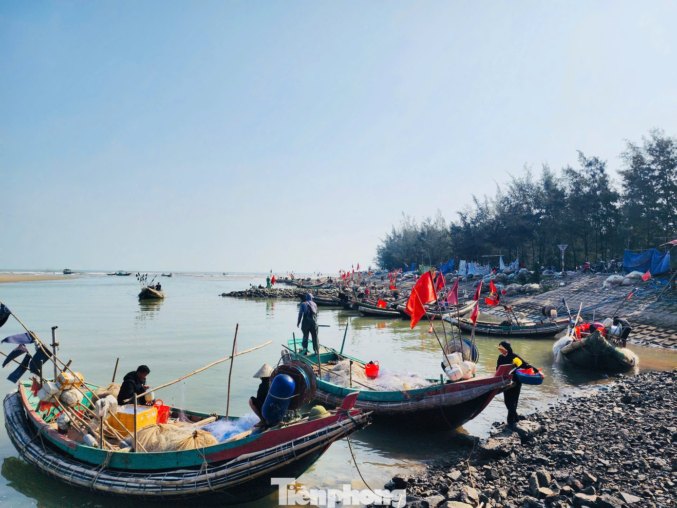 Những con tàu khi đánh bắt về neo đậu tại cửa lạch, ngư dân vận chuyển hải sản lên bờ đê để gỡ lưới, bán cho khách hàng có nhu cầu.