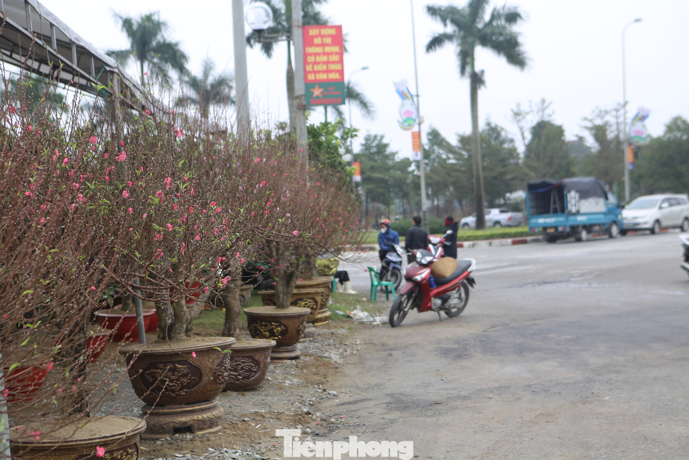 "Năm nay kinh tế khó khăn, chúng tôi cũng giảm số lượng nhập cây quất về bán. Hiện nay đã bán được một số gốc, cũng mong thời tiết khô ráo để người dân ra sắm Tết đông đúc hơn", anh Võ Tá Linh (trú xã Thạch Trung, thành phố Hà Tĩnh) cho hay.