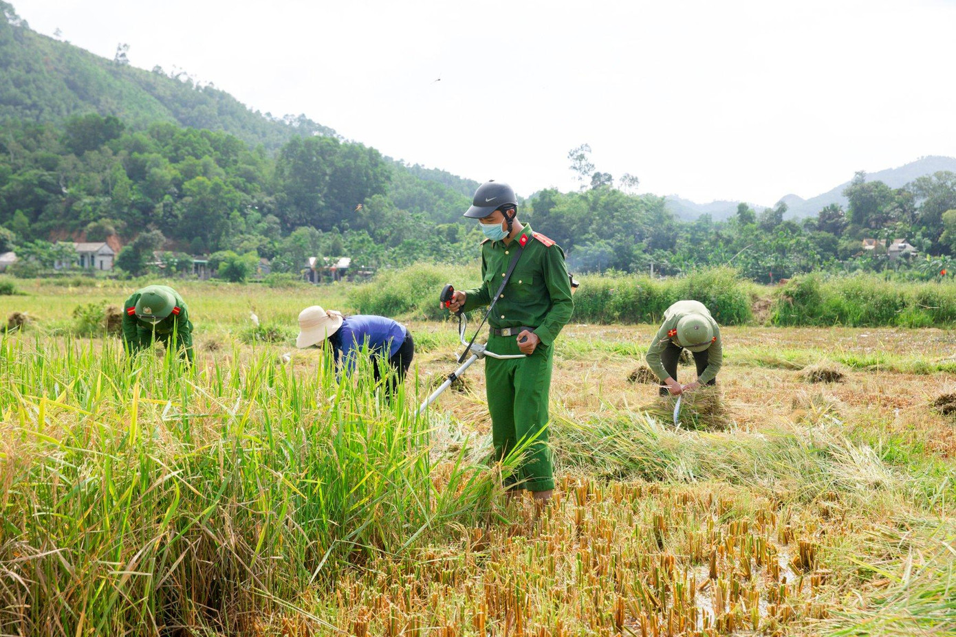 Để chia sẻ vất vả của người người nông dân và chủ động phòng tránh thiệt hại thiệt hại do bão số 5 gây ra, 30 cán bộ, chiến sĩ Công an huyện Hương Sơn (Hà Tĩnh) công an các xã Kim Hoa, Sơn Bằng, Sơn Phú phối hợp Huyện đoàn Hương Sơn hướng về cơ sở giúp dân nhanh chóng thu hoạch lúa hè thu.
