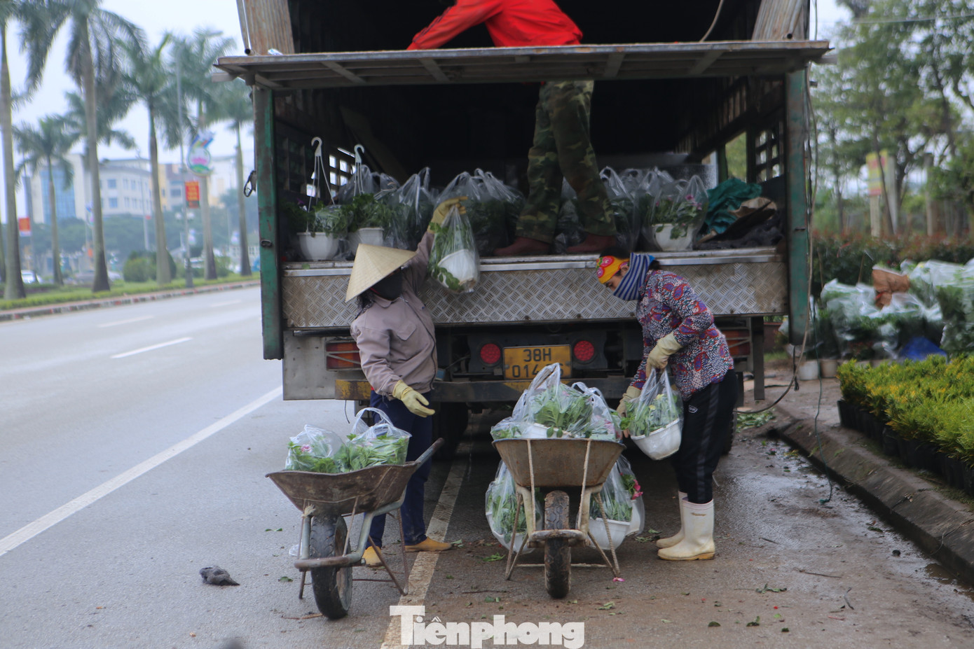 Những ngày giáp Tết Nguyên đán, dọc đường Xô Viết Nghệ Tĩnh (thành phố Hà Tĩnh) nhộn nhịp những chuyến xe chở hàng nối đuôi nhau. Cũng vào dịp này, những người phụ nữ nhận chở cây cảnh, hoa có thêm thu nhập vì hàng tấp nập...